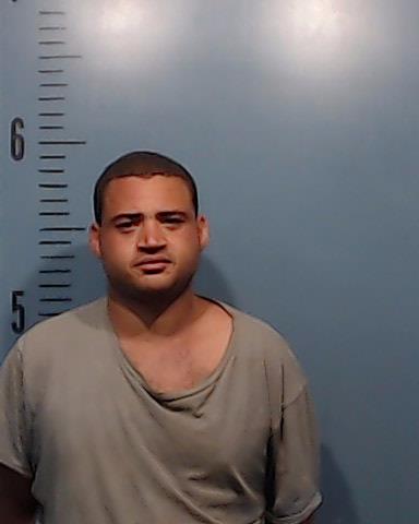 Davis, Brenton Ladon booking photo