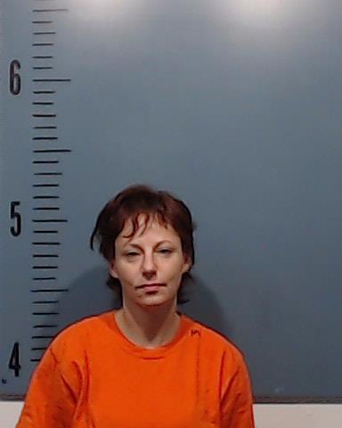 McMinn, Melissa Ann booking photo