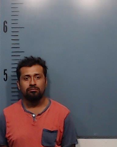Gonzalez-Rojas, Lamberto booking photo