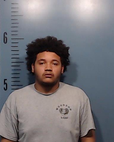 Reed, Da'Mareyon Lewis booking photo