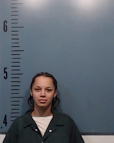 Schultz, Brittany Renay booking photo
