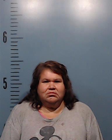 Fernandez, Lydia Ann booking photo