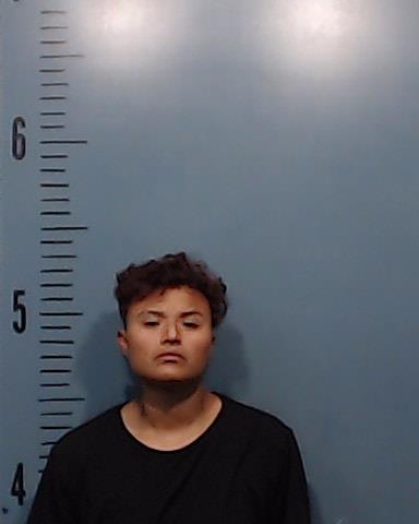 Cortinez, Ivana Desiree booking photo