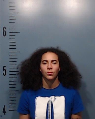 Ellington, Olivia Alise booking photo