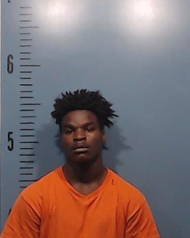 McElroy, Dreadarius Demontae arrested by Taylor County SO/PD