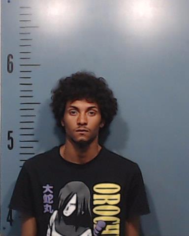 Reynolds, Austin Logan booking photo