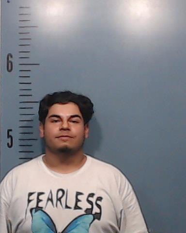 Cedillo, Xavier Antonio arrested by Taylor County SO/PD