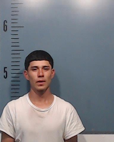 Tavera Villegas, Joser Manuel booking photo