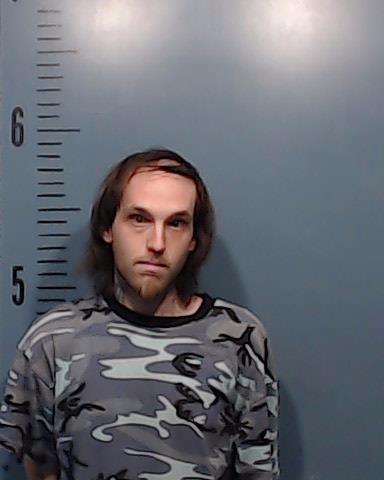 Land, Taylor Ray booking photo