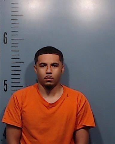 Williams, Jayden Lavant booking photo