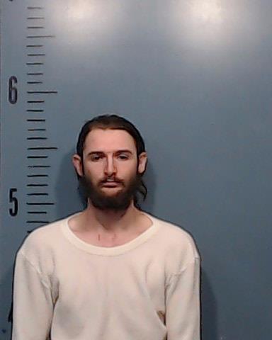 Haynes, Garrett Lane booking photo