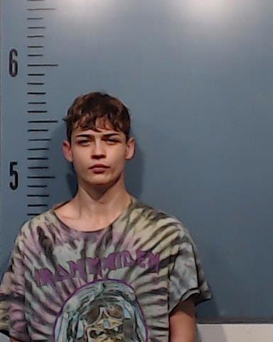 Henderson, Todd Wayne, Jr. booking photo