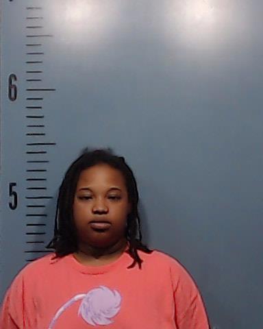Sanders, Nackia Nicole Broniqe Brosha booking photo