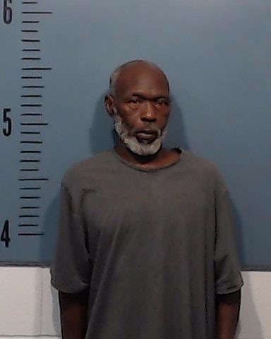 Wilkins, Aaron, Jr. booking photo