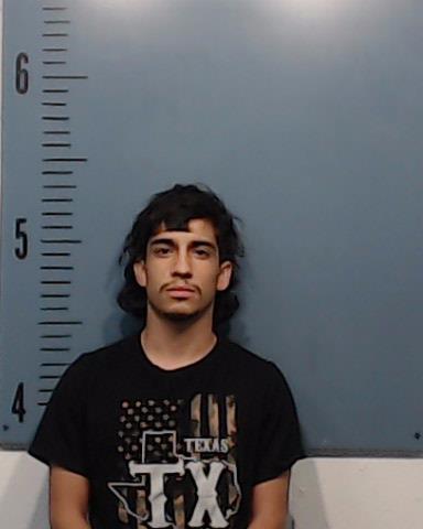 Pulido, Dominic Isiah booking photo
