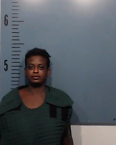 Williams, Tiffany Lashawn booking photo