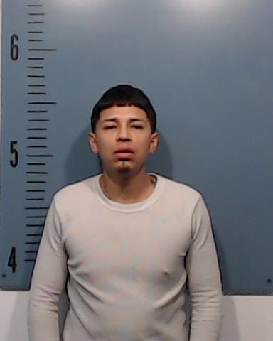 Flores, Robert, Jr. booking photo
