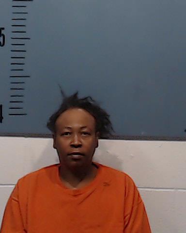 Lindsey, Tamica Michelle booking photo