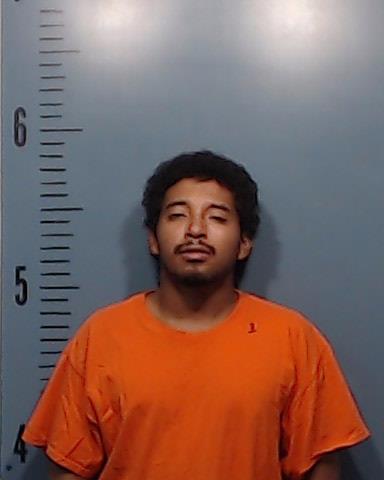 Johnson, Joddie Lawrence booking photo