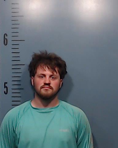 Richardson, Brandon David booking photo