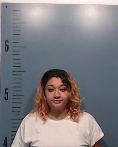 Sanders, Destinie Cheyenne booking photo
