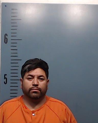 Chavez-Trejo, Rainiero booking photo