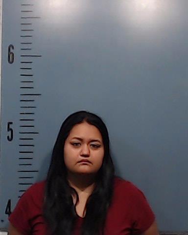 Sanders, Laticia Renee booking photo