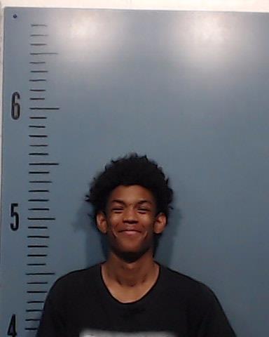 Webster, Bryston Isaiah booking photo