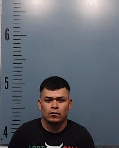 Mejia-Gonzalez, Francisco booking photo
