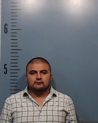Palma-Ramirez, Norberto booking photo