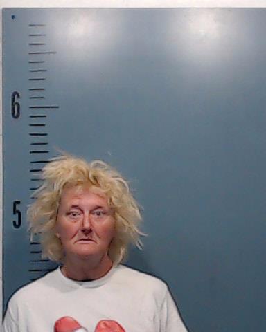 Young, Cindy Marie booking photo