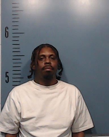 Johnson, Dannielle Lamonte booking photo