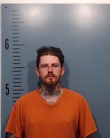Pickwell, Aaron John booking photo