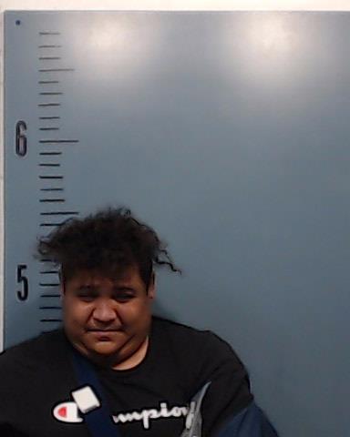 Castillo, Matthew booking photo