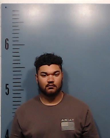 Owens, Paul Raymond, III booking photo