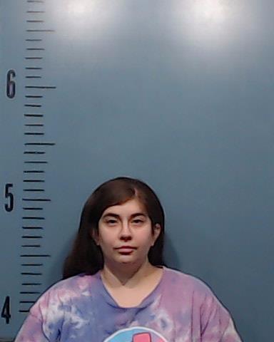 Stewart, Clarissa Nicole booking photo
