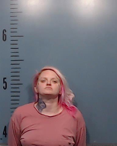 Peterson, Shannon Lynn booking photo