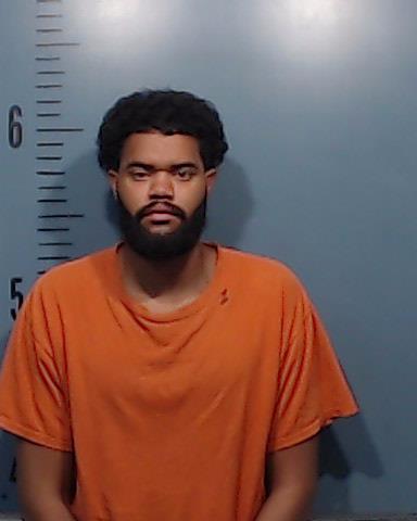 Woodards, Davion Jamichael booking photo