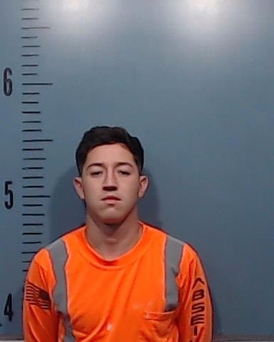 Pereira-Castillo, Frembir Alexandro booking photo
