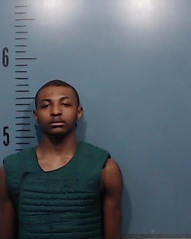 Wilson, Dallas Levell booking photo