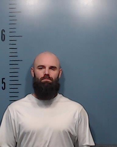 Holloway, Dylan James booking photo