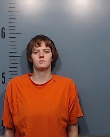 Hood, Laura Rose arrested by Taylor County SO/PD