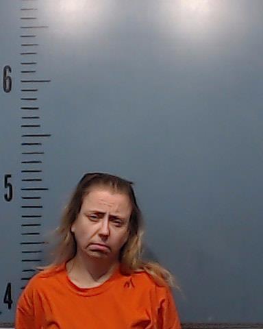 Brown, Lisa Michelle arrested by Taylor County SO/PD