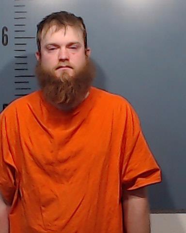 Robison, Ashton Blake booking photo