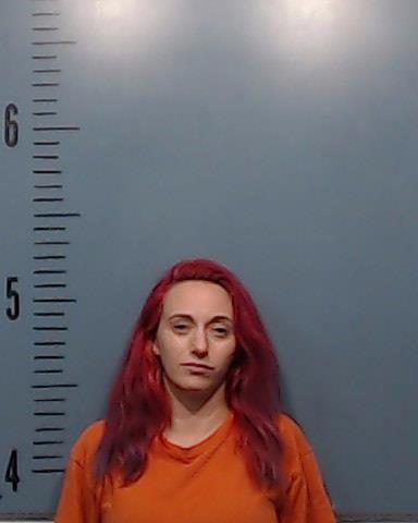 Livingston, Brianna Michelle booking photo