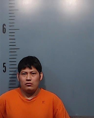 Guachiae-Izep, Mario booking photo