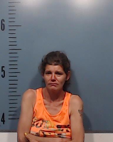 Parsons, Kimberly Louise booking photo