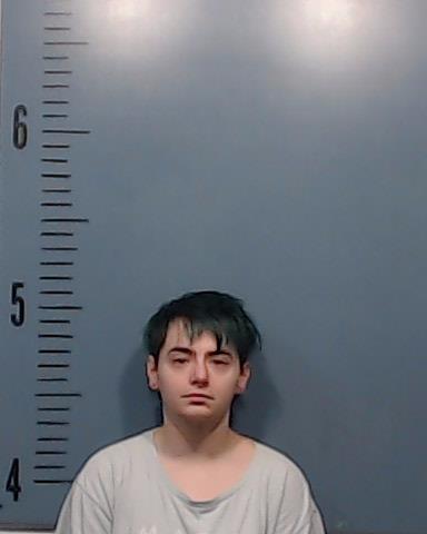 Nichols, Molly Kathryn booking photo