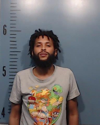 Holmes, Joshua Gregory arrested by Taylor County SO/PD