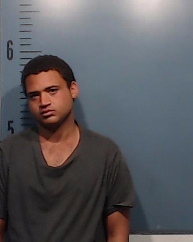 Davis, Brenton Ladon arrested by Taylor County SO/PD